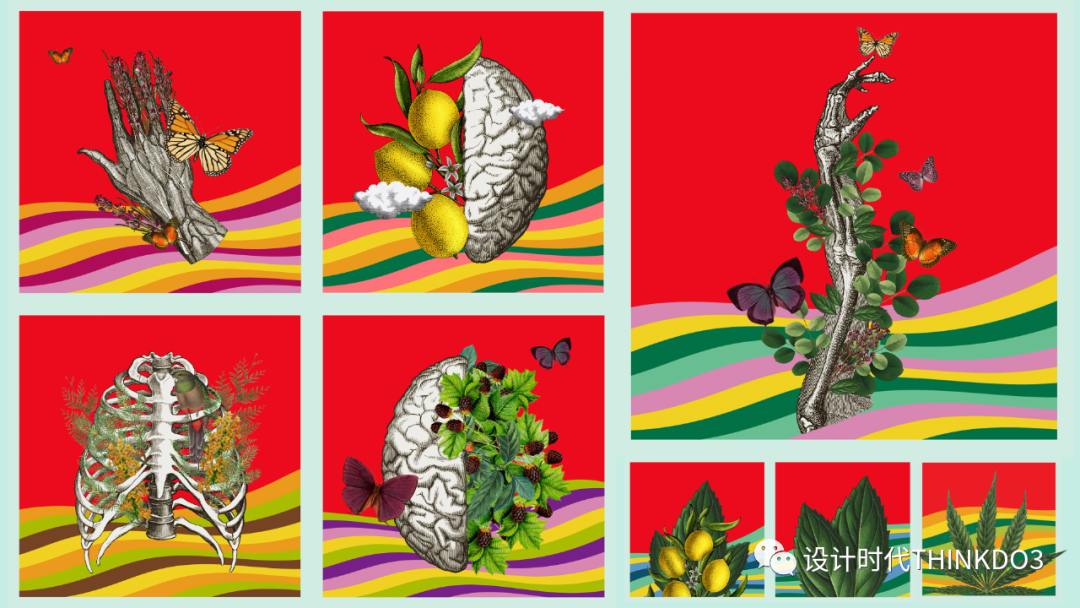 Dieline Awards<a href=http://www.dekaron.com.cn/sheji/baozhuang/ target=_blank class=infotextkey>b</a><a href=http://www.dekaron.com.cn/ target=_blank class=infotextkey>OӋ</a> 2022ȫ@Ʒ