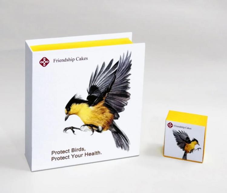 2025紅點(diǎn)品牌與傳達(dá)<a href=http://www.dekaron.com.cn/ target=_blank class=infotextkey>設(shè)計(jì)</a>獲獎(jiǎng)作品公布145.jpeg