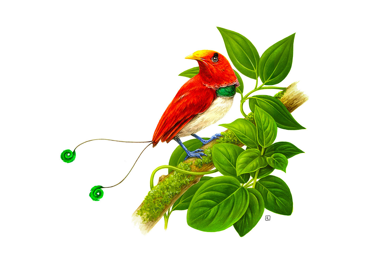 <a href=http://www.dekaron.com.cn/sheji/chahua/ target=_blank class=infotextkey>宋</a>Irene LaschiL<a href=http://www.dekaron.com.cn/sheji/chahua/ target=_blank class=infotextkey>宋</a>Ʒ