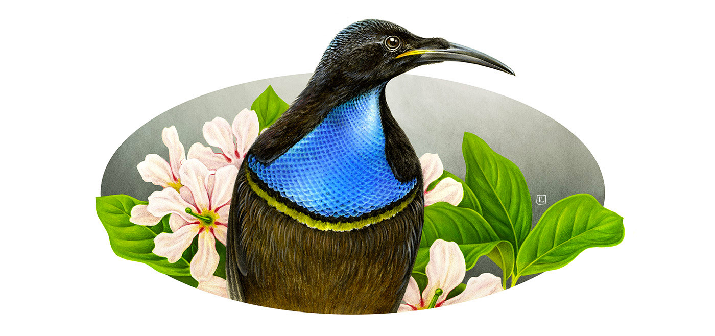 <a href=http://www.dekaron.com.cn/sheji/chahua/ target=_blank class=infotextkey>宋</a>Irene LaschiL<a href=http://www.dekaron.com.cn/sheji/chahua/ target=_blank class=infotextkey>宋</a>Ʒ