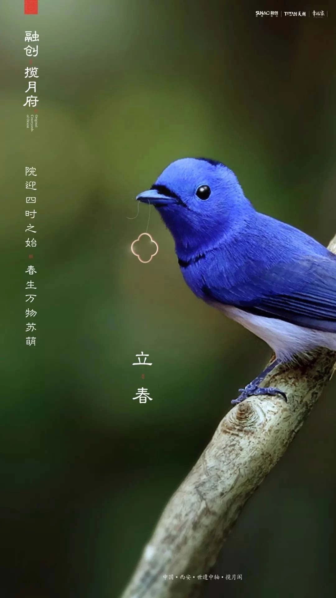 68ݺ(bo)<a href=http://www.dekaron.com.cn/ target=_blank class=infotextkey>O(sh)Ӌ(j)</a>Ʒ