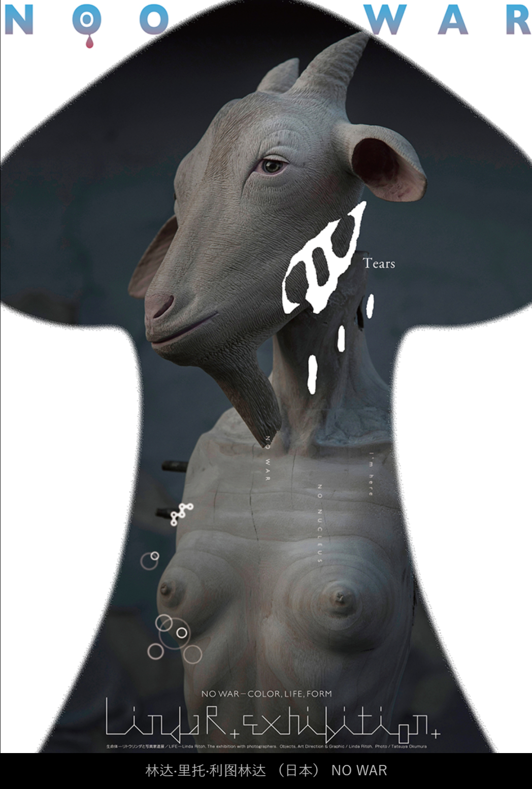 2022ձH(zhn)չ(yu)Ʒ