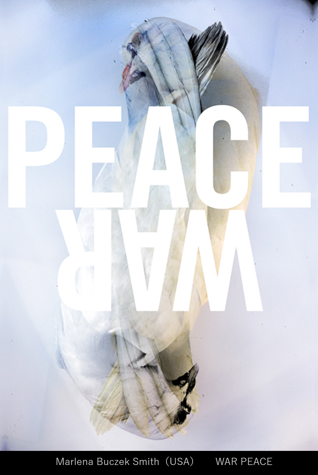 2022ձH(zhn)չ(yu)Ʒ