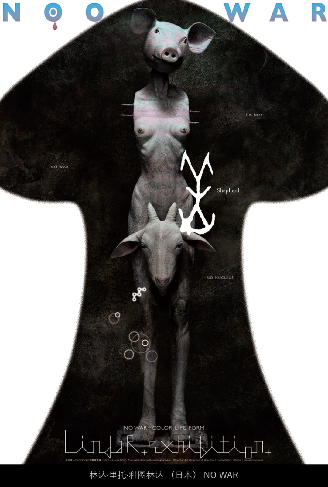 2022ձH(zhn)չ(yu)Ʒ