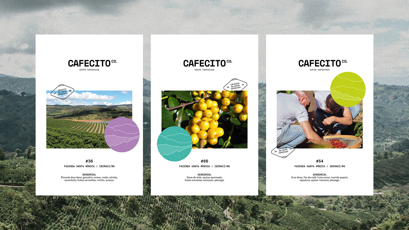 ^CafecitoƷVI<a href=http://www.dekaron.com.cn/ target=_blank class=infotextkey>OӋ</a>