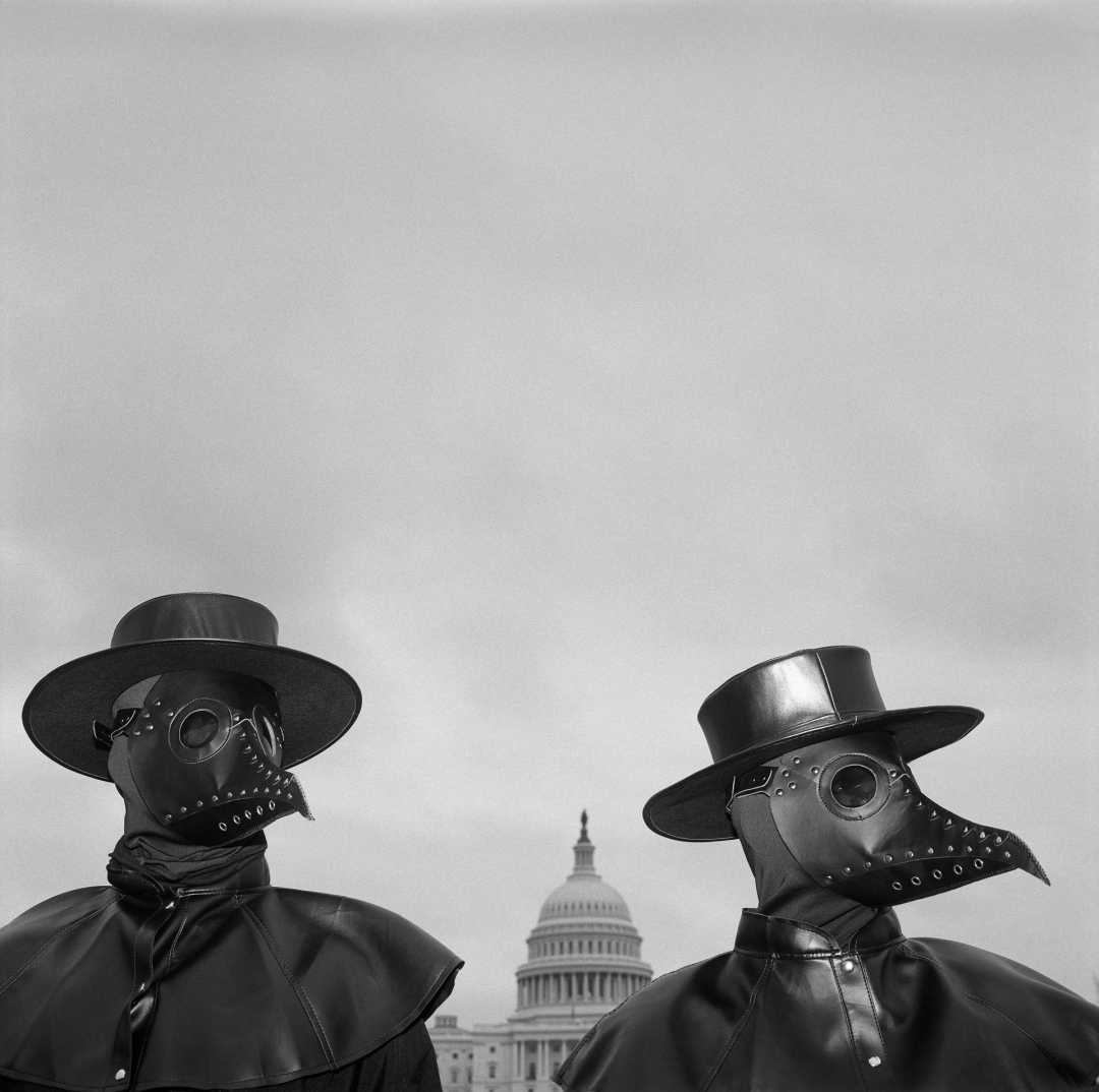 Political Year Zero(qun); Louie Palu