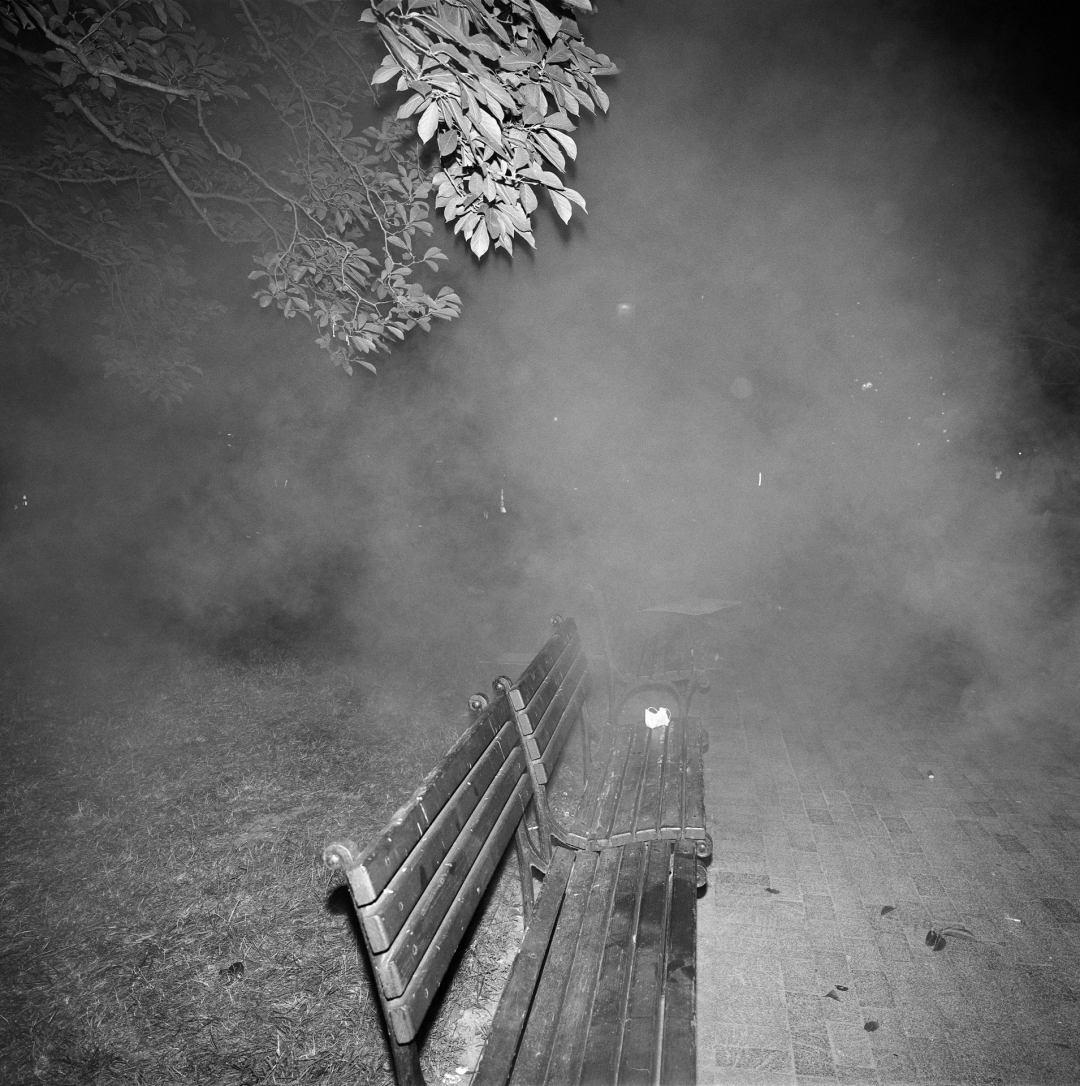 Political Year Zero(qun); Louie Palu